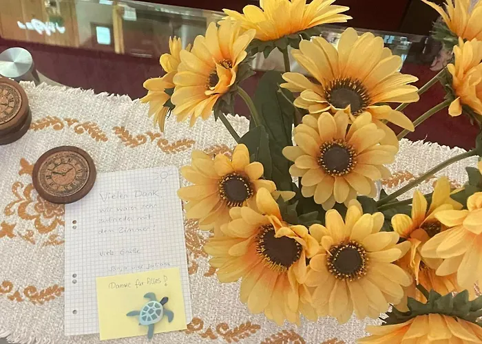 Novi בית אירוח